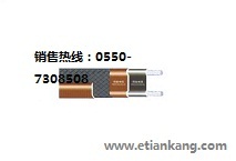 ZWK(ZXW、ZKW、ZKWZ、ZBW)中温温控伴热电缆