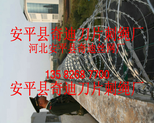 防攀爬刺网/围墙防盗网/刀片刺网/刀片刺绳/刀片刺丝