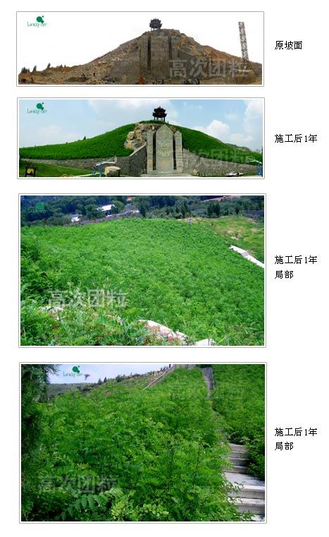高次团粒技术