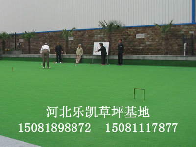 乐凯草坪，绿化的先锋