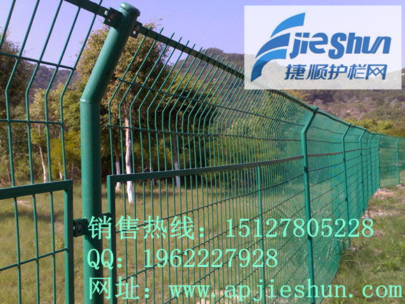 专业养鸡铁丝网，养鸡专用铁丝网，散养鸡用围网，山鸡专用围网