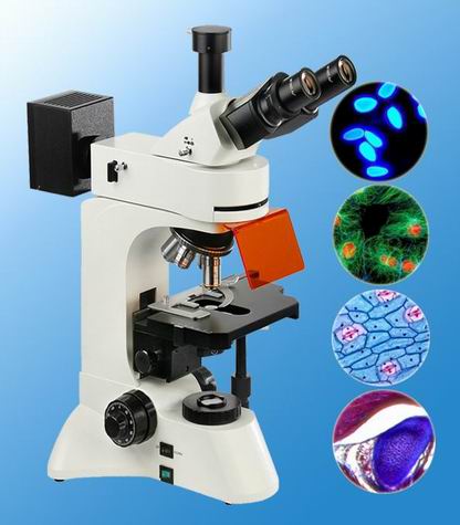 广州荧光显微镜-广州微域光学仪器有限公司专业供应