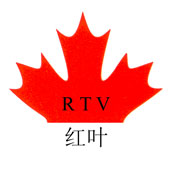 深圳市红叶（硅胶）科技有限公司