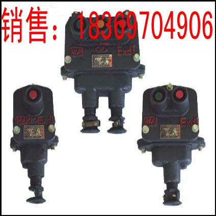 售BZA10-5/127-1 矿用隔爆型控制按扭 安全防爆