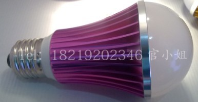 专业生产LED5W球泡灯
