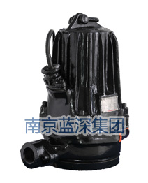南京蓝深剩余污泥泵AV14-4（图文展示）