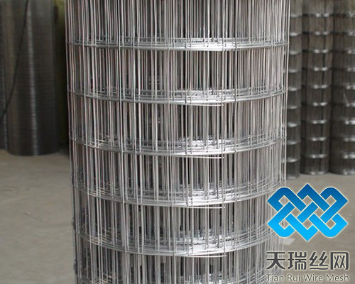 安平县电焊网 舒乐板网片 地暖网片 热镀锌电焊网