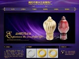 揭阳网站建设,揭阳网络公司,0663-8226567