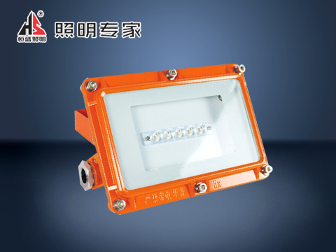 厂家直销批发BF391隔爆型LED泛光灯