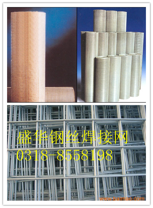 供应焊接钢丝网厂家  焊接钢丝网价格 焊接钢丝网规格