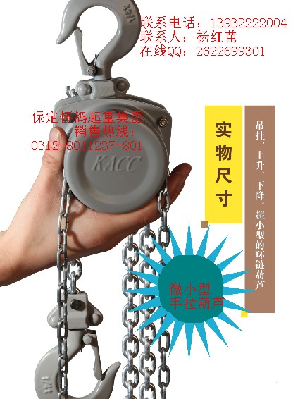 微型手拉葫芦,微型手板葫芦，微型电动葫芦