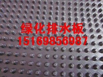 日照20mm排水板+—日照车库排水板+—日照12mm排水板