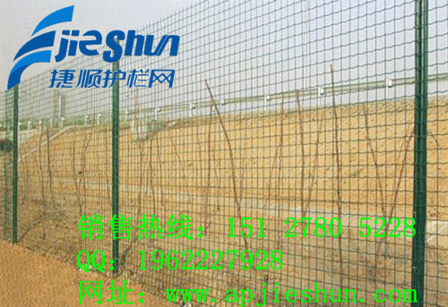 养殖铁丝网围栏，圈鸡围栏网，养殖围网，养殖山鸡围网价格