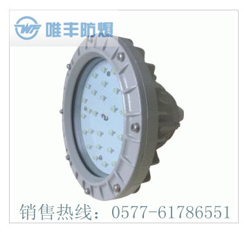 BCD-LED防爆灯|20W-100W系列LED防爆灯