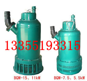 BQS(BQW)70-10-5.5/N电泵