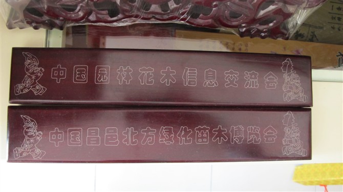 昌邑花博会礼品