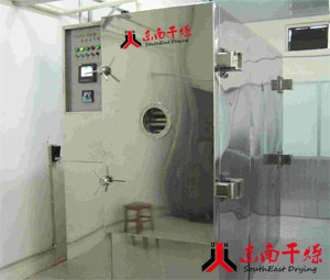 供应真空冷冻干燥机-FD烘干机-食品冻干机-东南干燥