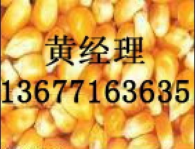 正荣饲料现款采购玉米、小麦、棉粕、大豆等农产品