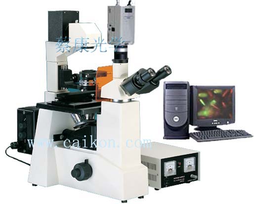 上海倒置荧光显微镜-蔡康DFM-60C