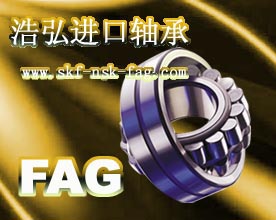 河源FAG进口轴承|广州进口轴承总经销|浩弘轴承