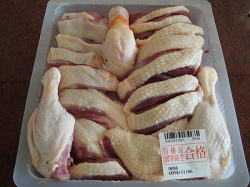 进口冷冻整鸭 鸭胗 鸭心 鸭爪 鸭掌东盟进口批发