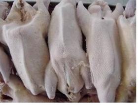 一手现货冷冻白条鸭 鸭边腿 鸭翅顶级