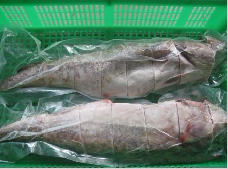 长期销售冷冻雪鱼和雪鱼片