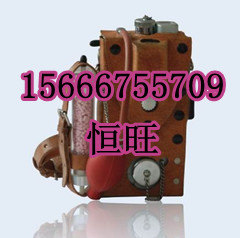 供应 CJG10/CJG100光干涉式甲烷测定仪出厂价