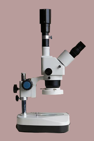 衡水奥林巴斯显微镜邢台数码显微镜邯郸学生显微镜