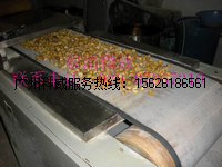 广州科威微波槟榔膨化机