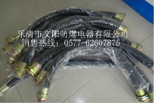 BNG防爆扰性连接管厂家，防爆扰性连接管价格