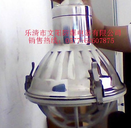 供应文阳防爆 BGL-250G增安型不锈钢防爆灯