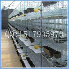 长期供应鸽笼制作|优质的鸽笼制作原理|哪里鸽笼卖