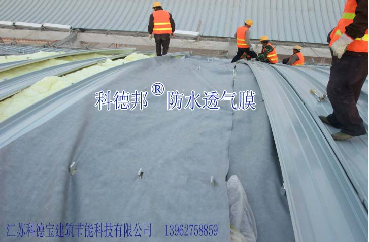 pe聚乙烯高分子防水透气膜