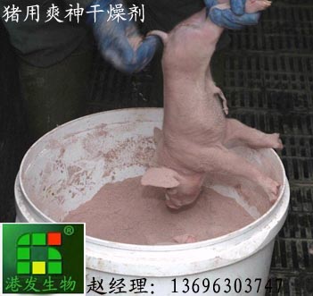 猪用爽神干燥剂
