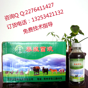 养蚯蚓的饲料是怎样发酵的