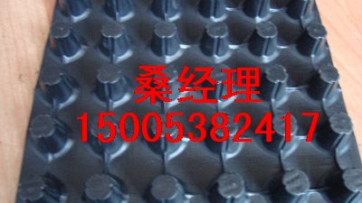 连云港（2公分塑料排水板）厂家排水板价格