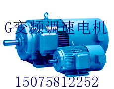 G系列变频调速电机衡水永顺供应品质有保证