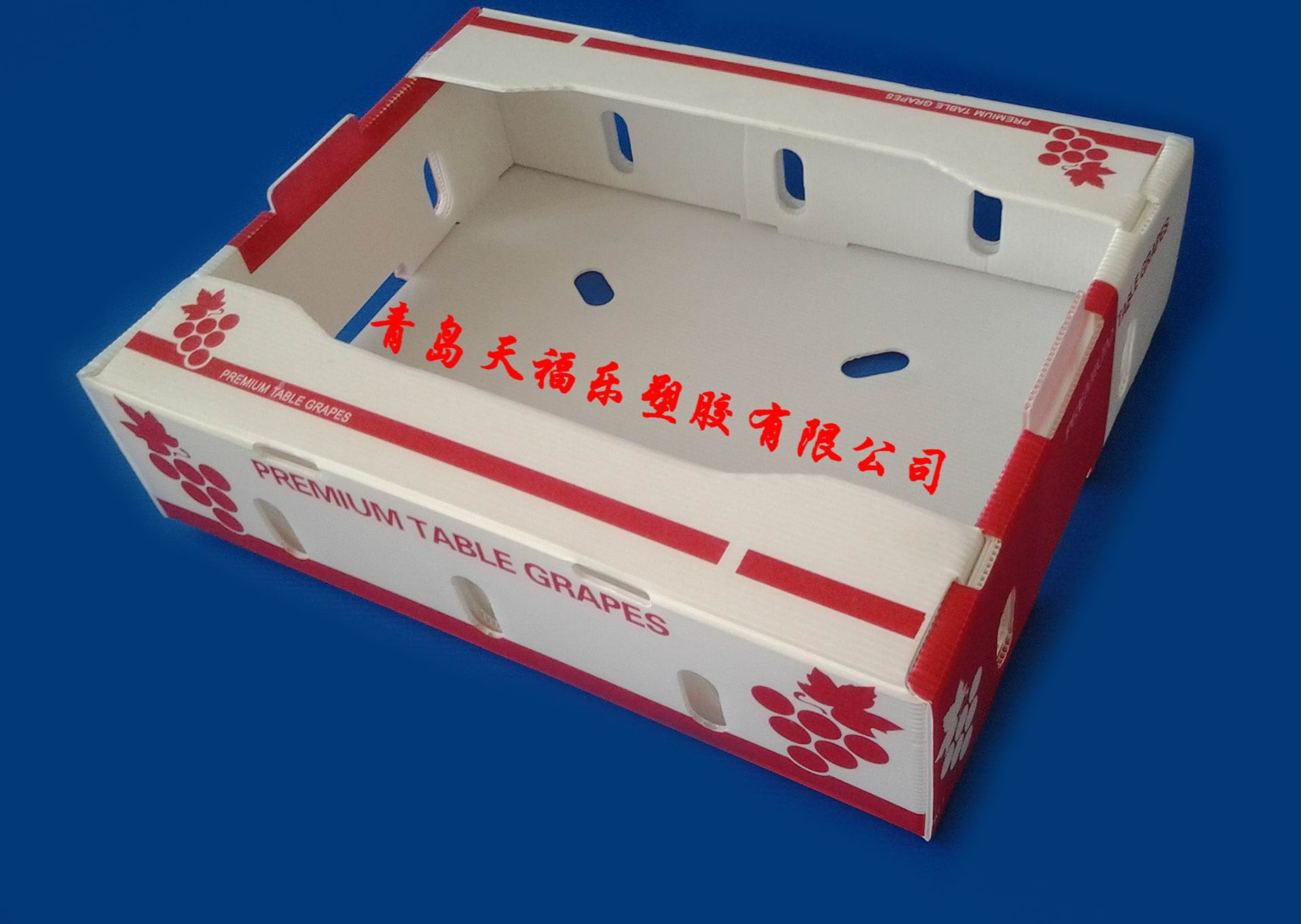 供应葡萄包装箱、中空板蓝莓包装箱