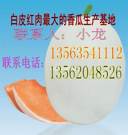 白皮洋香瓜大量上市