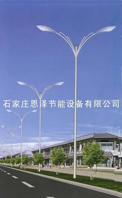 LED路灯 太阳能发电系统 太阳能路灯 太阳能灯 邯郸献县