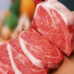 冷冻进口牛肉