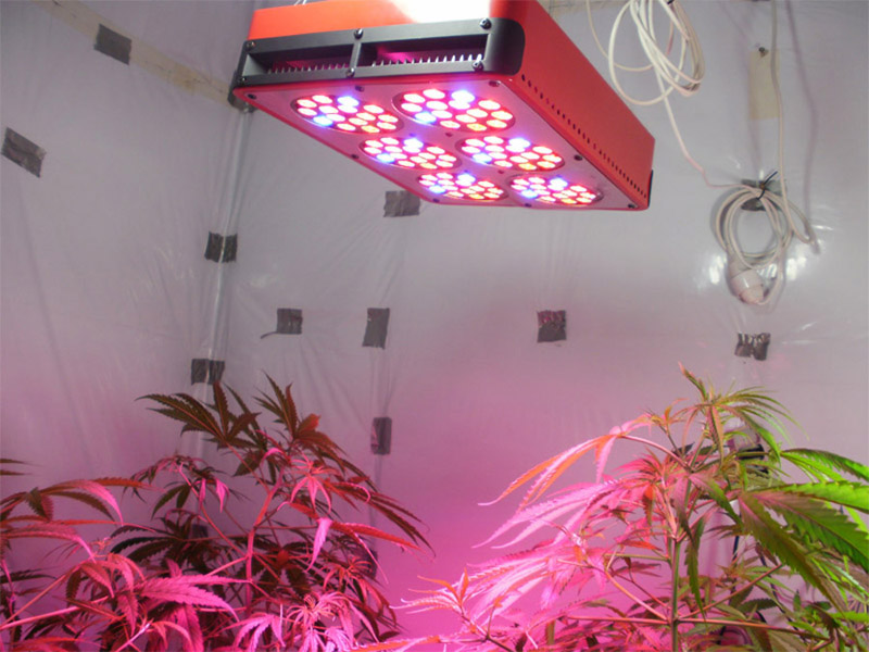 供应LED植物生长灯YCTVD690A