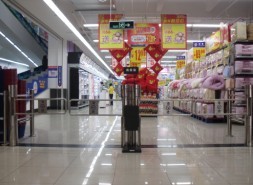 桥式圆弧摆闸、豪华桥式斜角摆闸、立式智能摆闸