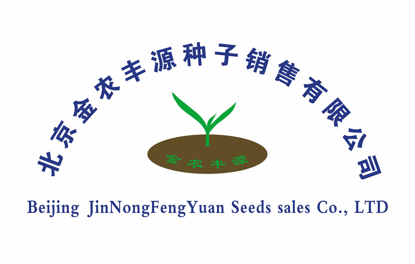 金农丰源脱毒土豆种子销售中心