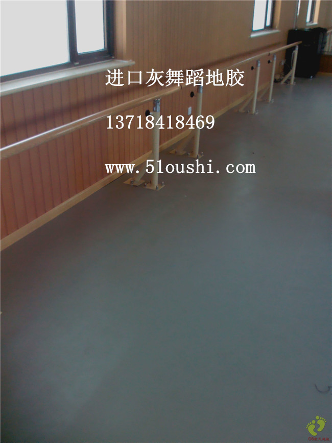 舞蹈形体房塑胶地垫 舞蹈形体房专业塑胶地板 可移动舞蹈地板