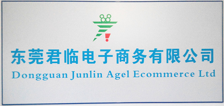 东莞君临电子商务有限公司