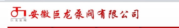 安徽巨龙泵阀有限公司