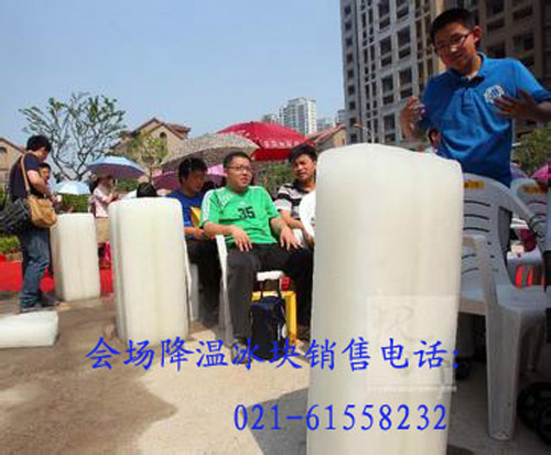 南翔镇厂房降温冰块出售【价格61558232