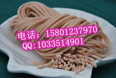 面条机，彩色面条机，多功能面条机厂家